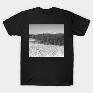 Canadian foothills T-Shirt